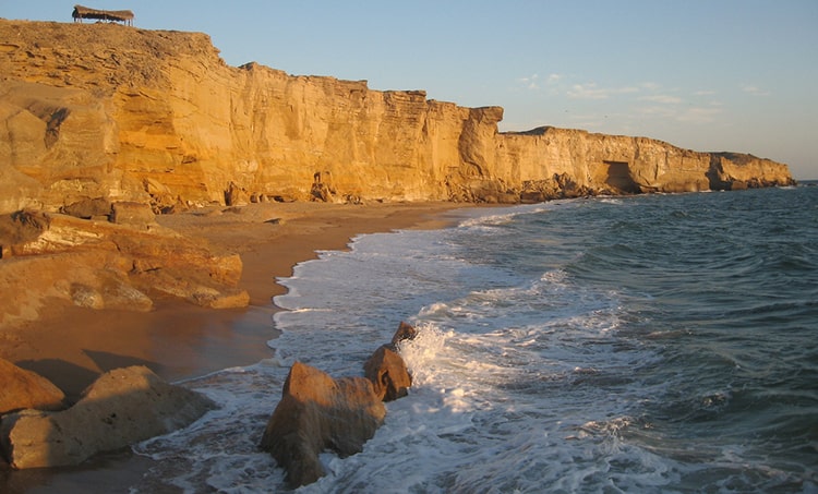 Large Image
