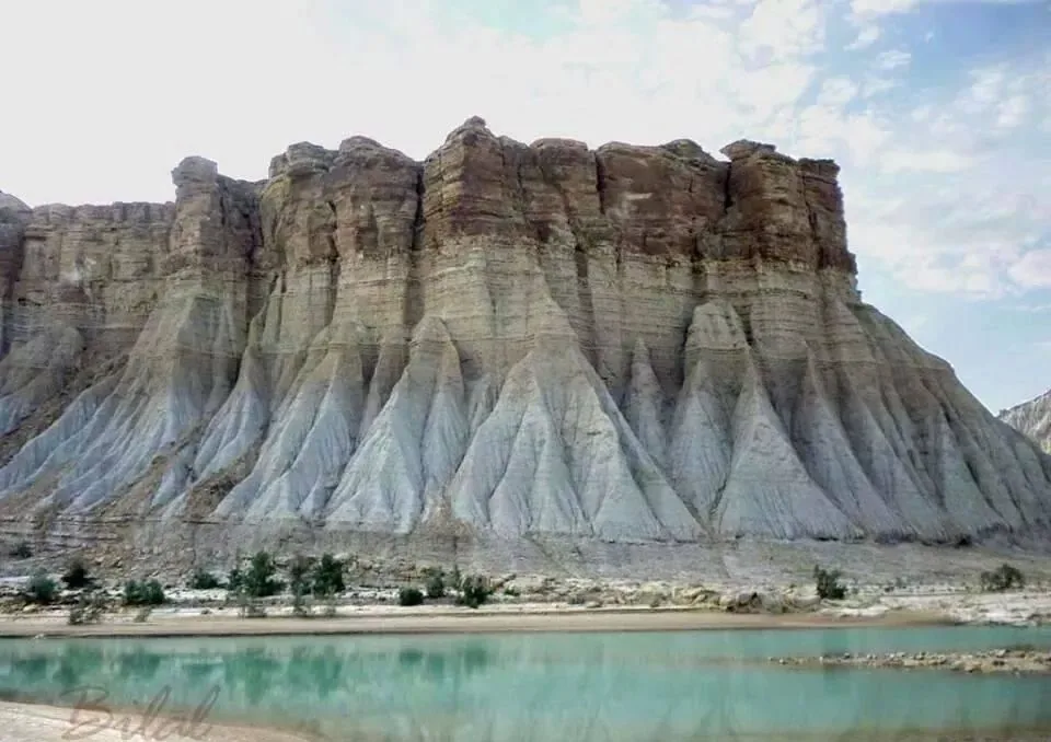 Large Image