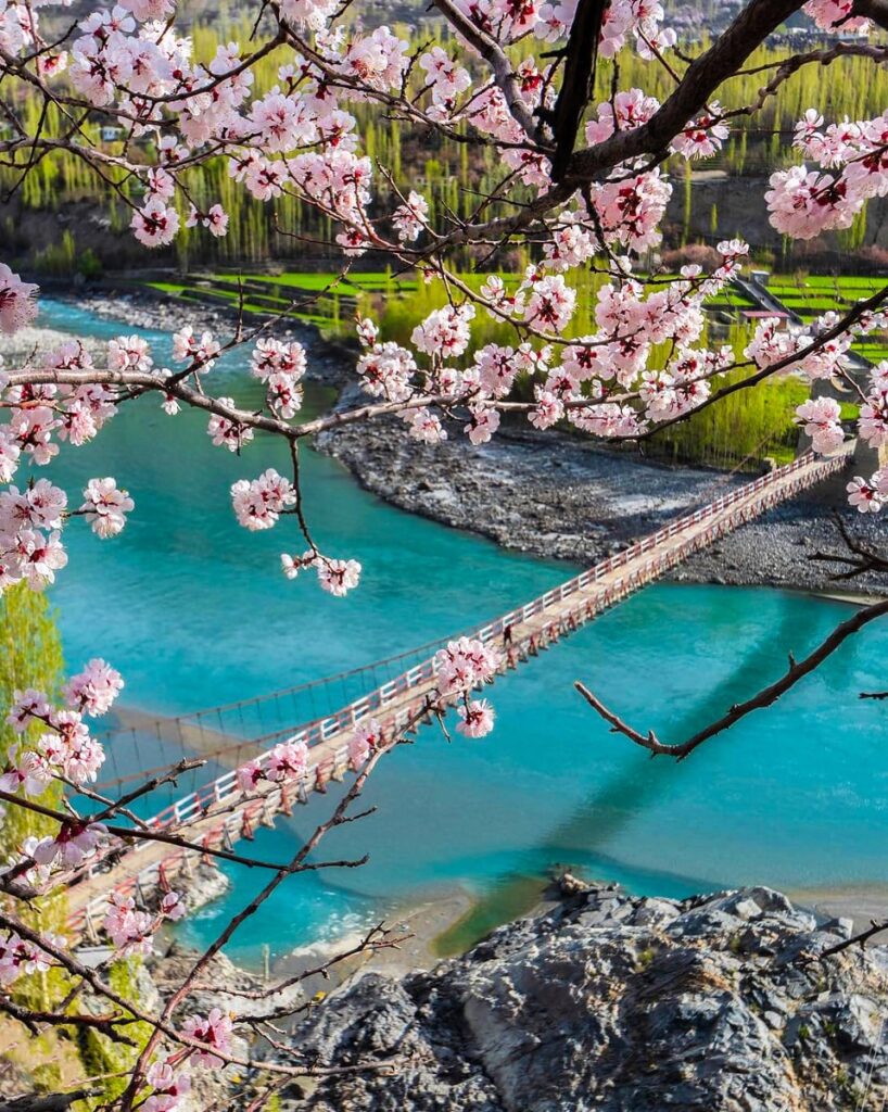 Footbridge and spring blossom above turquoise water
