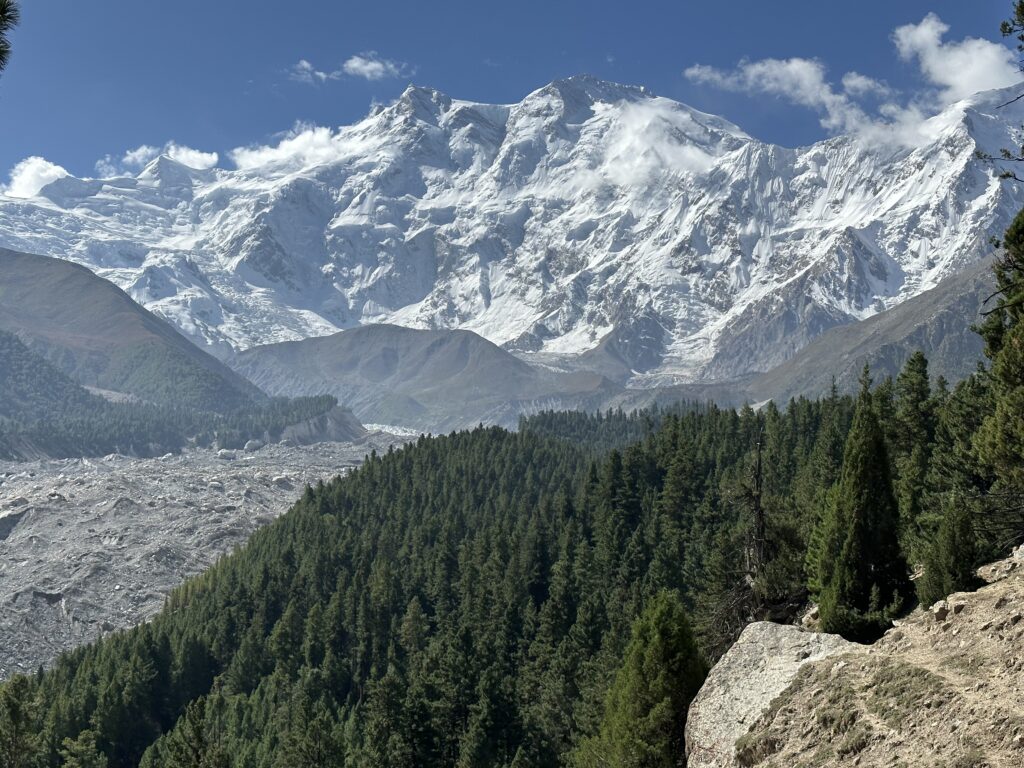 Nanga Parbat and the glacier below a forested ridge