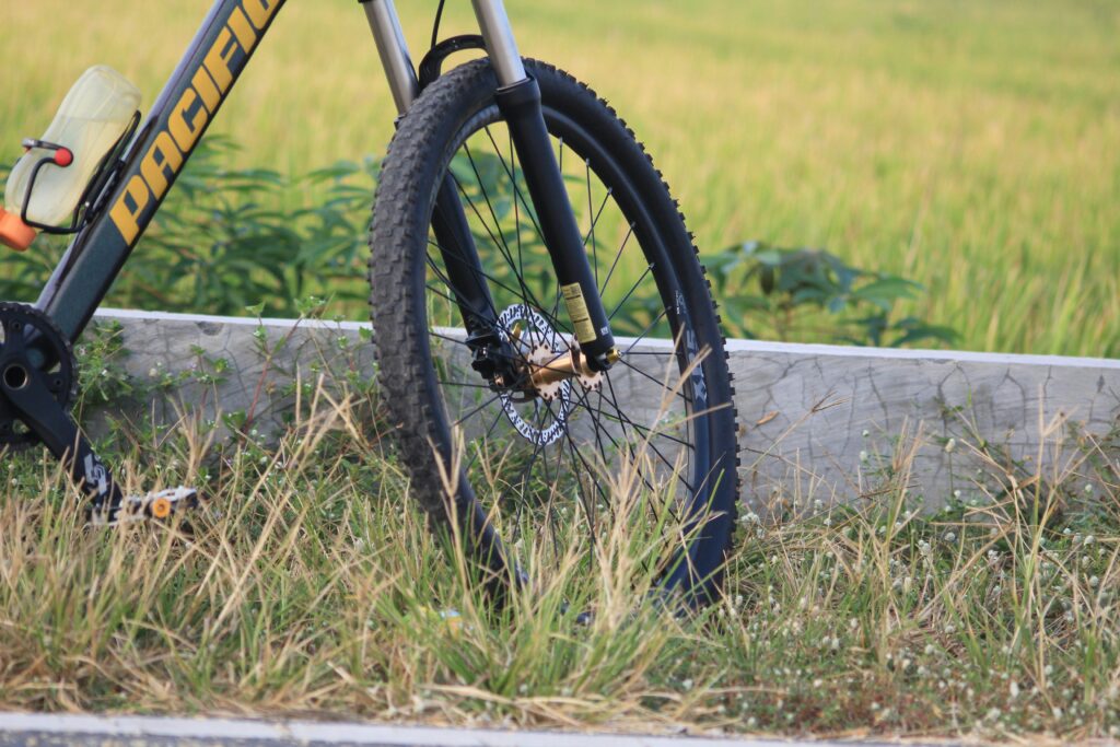 Bicycle beside tall grass on a mountain hillside