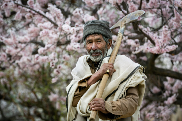 A resident holding a tool beneath blossoming trees in Hopar Valley, Hunza.