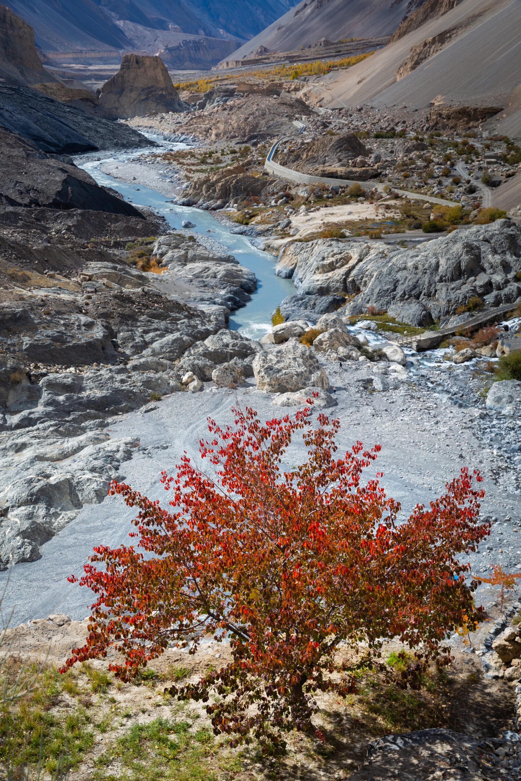 Red autumn foliage above a rocky mountain river valley in northern Pakistan.