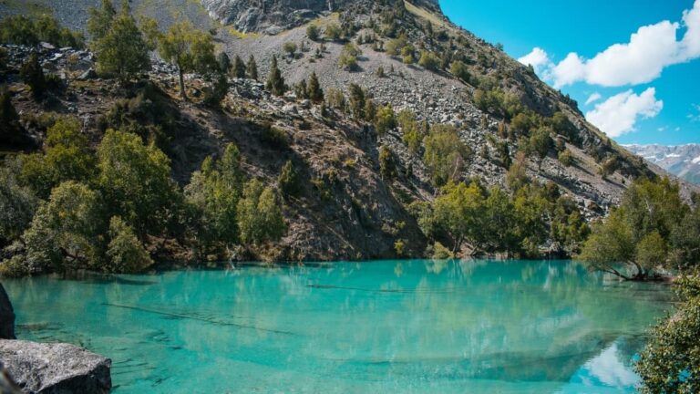 Hunza & Naltar Valley