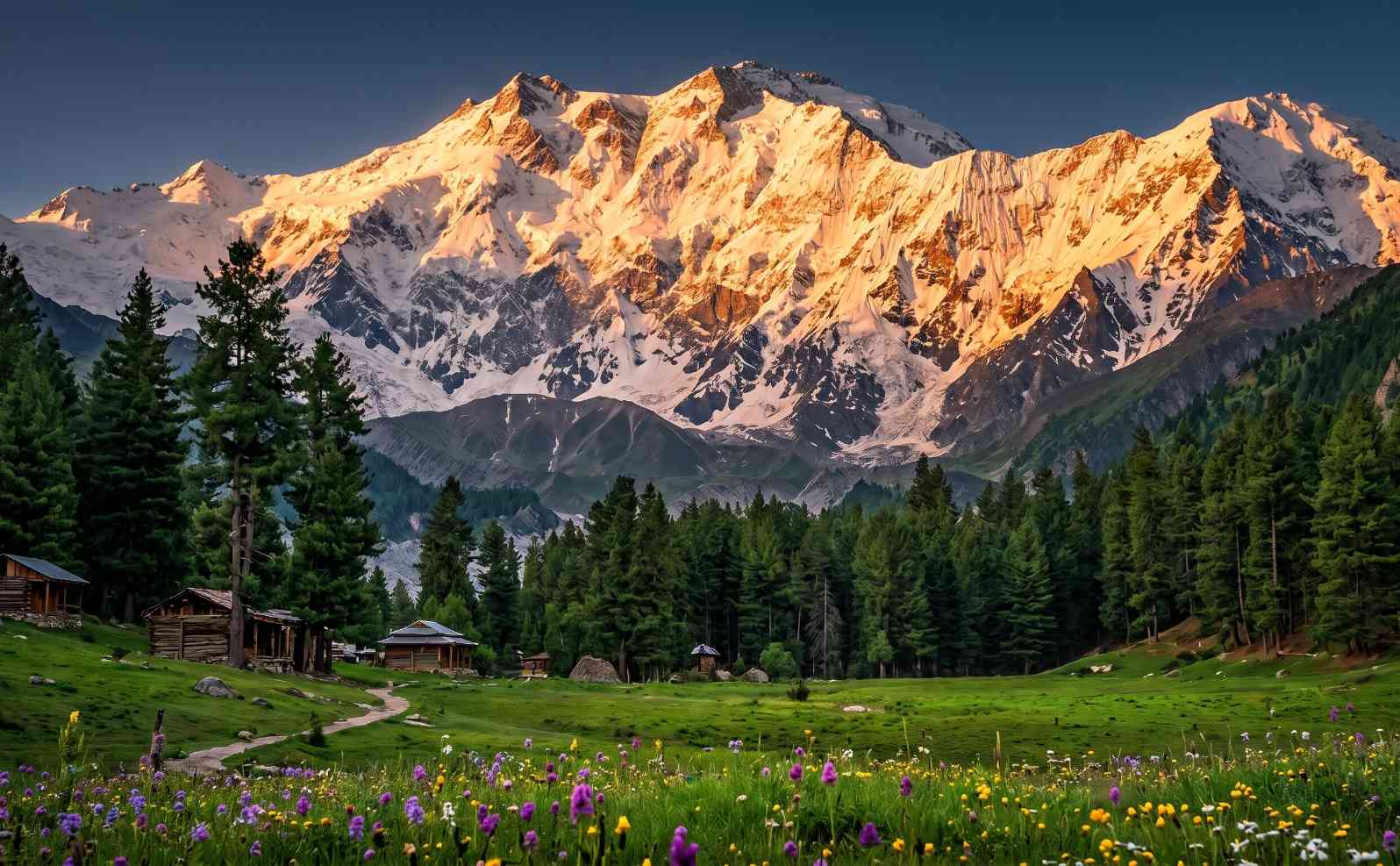 Fairy Meadows Pakistan at golden hour with Nanga Parbat glowing above lush green meadows and pine forest