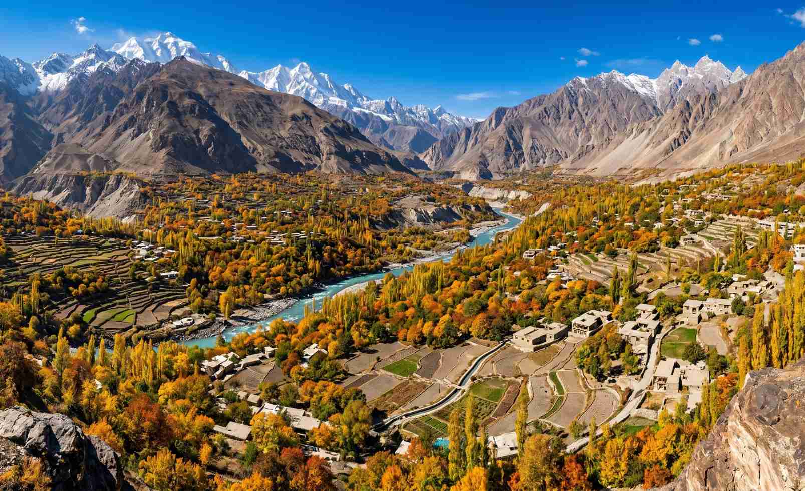 Hunza Valley in autumn with golden poplar and apricot trees and the Karakoram peaks dusted in snow behind