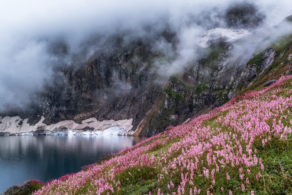 Ratti Gali Lake surrounded by alpine mountains and flowers in Azad Kashmir
